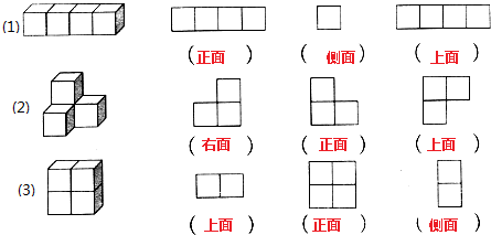侧面画△) 题目和参考答案——青夏教育精英家教网