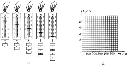 按照图8甲所示.把钩码逐个挂在弹簧测力计上.