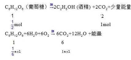 yz代表有氧呼吸氧气的吸收量,其产生二氧化碳的量也是yz,无氧呼吸产生