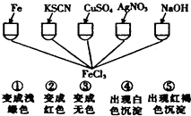 精英家教网
