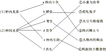 配偶,巢穴等,因此会发生种内斗争关系;但是同种生物的个体之间也有