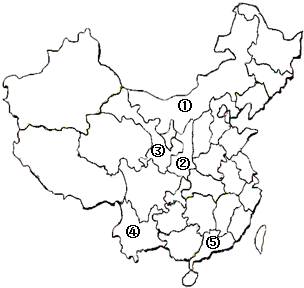 新中国成立后人口为什么增长快_新中国成立后经济发展