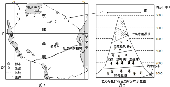 下面为非洲自然带分布图(左图)和乞力马扎罗山垂直自然带分布图(右图)