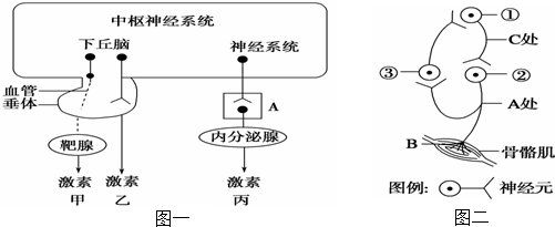 且相关基因只位于z染