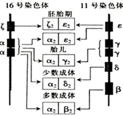 人口控制翻译_计划生育和人口控制图(2)