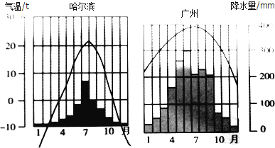 哈尔滨气温降水柱状图图片
