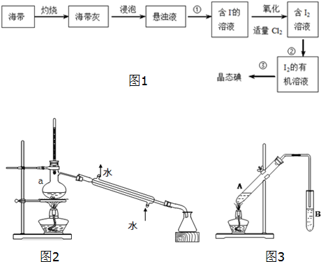 海带提碘装置图图片