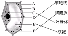 ade61aa5.png