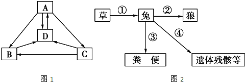 请据图回答几个有关生态系统的问题