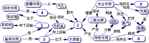 使學生將植物光合作用,呼吸作用,吸收作用,蒸騰作用,運輸作用五種生活