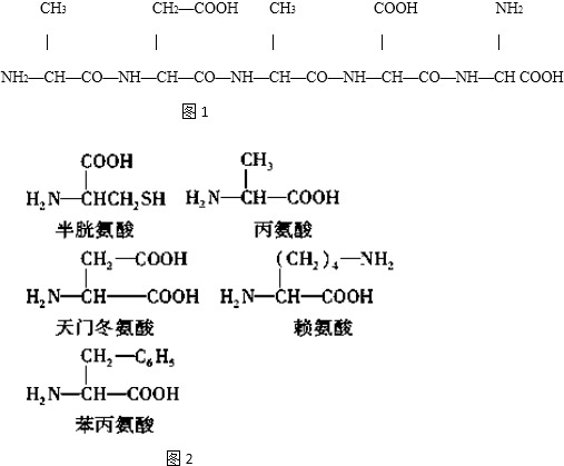 由 种氨基酸缩合而成形成的化合物是 肽(2)该化合物含有 个羧基(3)