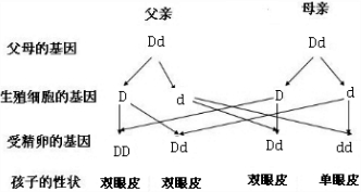 b3367ae7.png