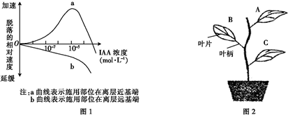 据图可知,iaa对叶片脱落的效应与  有关