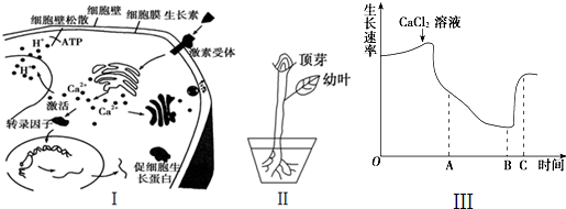 (1)1 生长点 2 叶原基 3 幼叶 4 芽轴 5 芽原基 (2)茎 侧芽——青夏