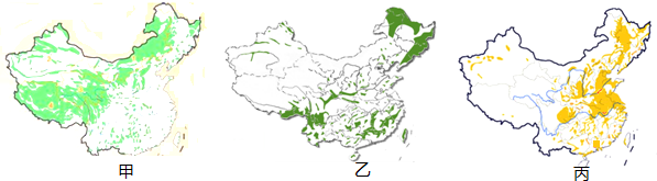 天然林主要分布在和