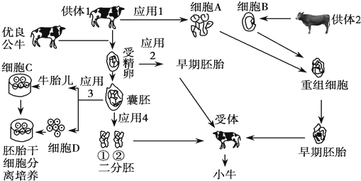 一片森林中的全部落叶松——青夏教育精英家