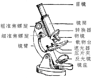 97809f95.png