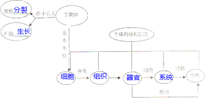 cf9a1a51.png