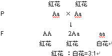 ebba6fd1.png