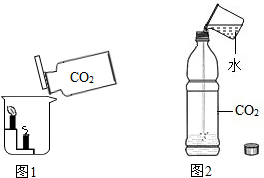 設計實驗證明二氧化碳的有關性質完成下列表格填寫文字或圖示配簡單