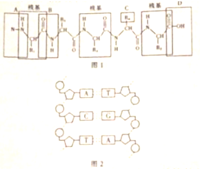 秋和色分开是什么成语_这是什么成语看图(2)