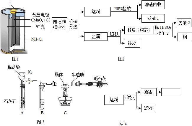 (1)锌锰电池的构造和组成(如图1所示)