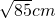 ��ѧ��ʽ
