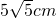 ��ѧ��ʽ
