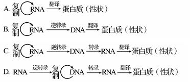 1983年科学家证实引起艾滋病的人类免疫缺陷病毒hiv是一种逆转录病毒