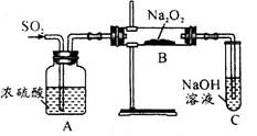 oxoil2.jpg