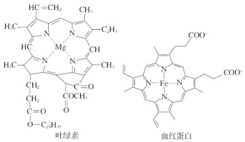 下圖是一種葉綠素分子和血紅蛋白分子部分結構圖以下有關敘述不正確的