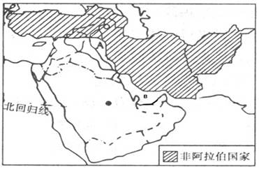 沙特阿拉伯人口分布特征_沙特人口分布地图(3)
