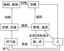 mk8p41.jpg