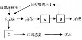 变干摩擦为湿摩擦什么原理_幸福是什么图片(2)