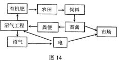 人与自然体现了什么哲学原理_自然哲学的数学原理