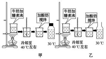 如图为探究酸奶的制作条件的实验过程图