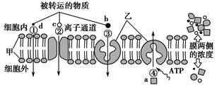 请仔细观察图示回答有关问题.