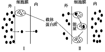 下图为物质进出细胞的两种方式对该图的正确理解是