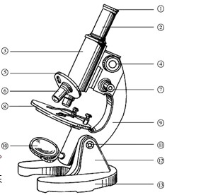 显微镜的简易画法步骤图片
