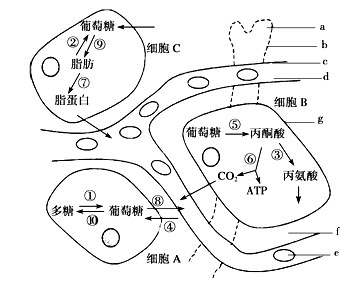 b3au22.jpg