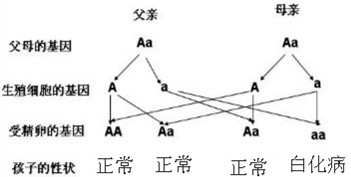 51d5a305c21f4.png