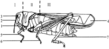 蜥蜴c.金鱼d.蝗虫—青夏教育精英家教网