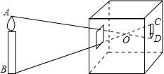 52849c240778f.png
