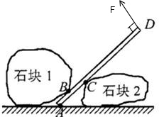 528566f130245.png