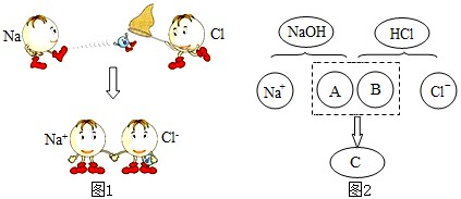 实验步