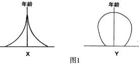 明星人数占人口比例_人口普查人数新闻模板(2)