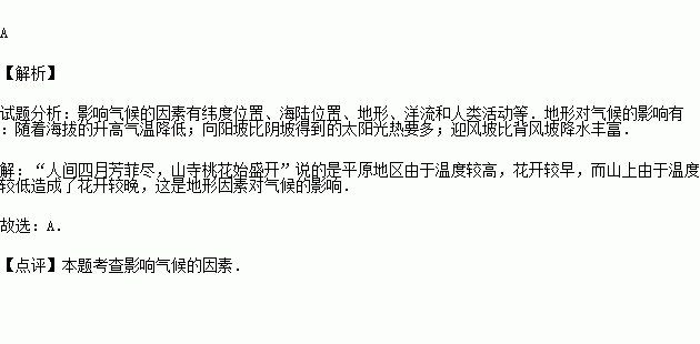 描写桃花的成语有什么_成语故事图片(3)