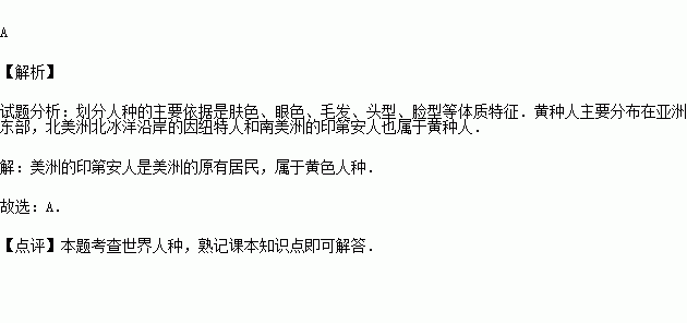 美洲黑色人种属于人口迁移造成的吗