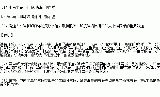 什么样的花园填空成语_春季成语花园小报(3)