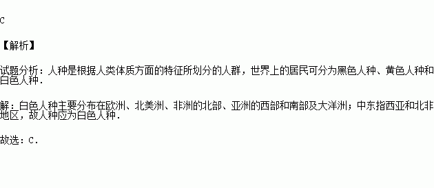 黑白混血種人 題目和參考答案——青夏教育精英家教網